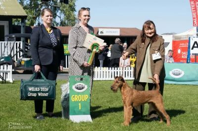 Bruce winning Terrier group 1 at WELKS
